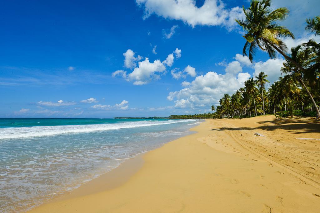 Aligio Beachfront Paradise Las Terrenas Zewnętrze zdjęcie