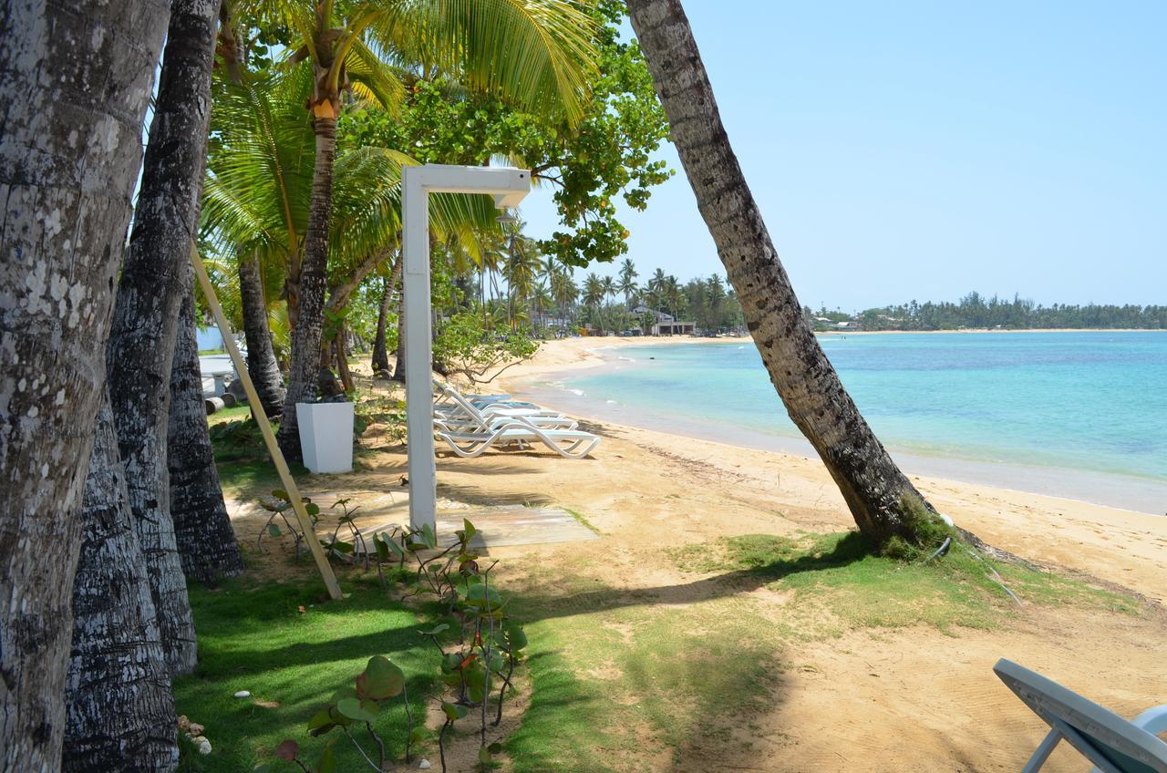 Aligio Beachfront Paradise Las Terrenas Zewnętrze zdjęcie